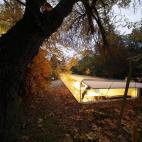 5c8b392f2400006c05a46292