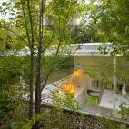 5c8b393223000004012467b8