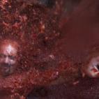 5c8b6cef240000f7054d725a