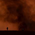 5f48ad332300008001f85386