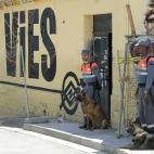 5c8b0ed8250000e203c9f31a