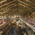 5c8b159f24000093024ccf6e