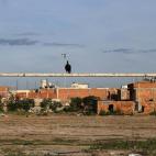 Buitres sobre el larguero de una portería en Mare, Río de Janeiro.