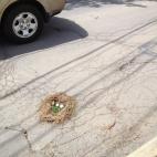 5c8b0b3a2300007f0123fbfc