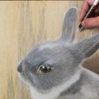 5c8b195f360000c81a6c7479