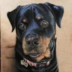 5c8b195f2300005300e79056