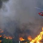 5c8b754b22000051001af574