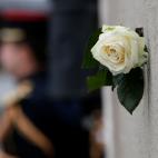 5c8ac7f4240000f404a3acdf