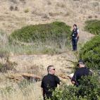 5c8aab0f230000040123793d