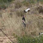 5c8aab1025000052068184db