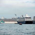 5c8b183b2400006d054cd417