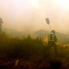 5c8aa998250000bd05818154