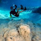 El municipio brasileño de Bonito, situado en Mato Grosso do Sul, es tal como su propio nombre indica, un lugar precioso y especialmente famoso por sus actividades acuáticas. Pero Bonito no sólo es conocido por estas actividades, sino por el e...