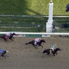 La partida dedicada a la Asociación Española de Sociedades Españolas organizadoras de carreras de caballos y actividades hípicas "para subvencionar carreras nacionales de caballos españoles, premios y otras actividades relacionadas con las ...