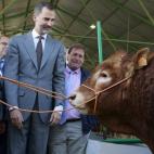 Esta partida sube respecto a 2015, cuando era de 3,9 millones. Está destinada a la Federación Española de Asociaciones de Ganado Selecto (FEAGAS) "para actividades de promoción, conservación y mejora de las razas puras para la gestión de l...