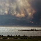 5c8b7b552400006c05a4d494