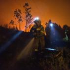 5c8b7b55230000dd0424d896