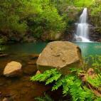 En el municipio de Algeciras se encuentra la Garganta del Capitán, un bosque en el que la vegetación te hará sentir en otro mundo. Con una distancia de algo más de tres kilómetros, la ruta es perfecta para pasar una agradable mañana en fam...