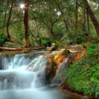 El nacimiento del Huéznar, a unas dos horas en coche de la capital andaluza, es un paraíso de olmos, fresnos, sauces y, por supuesto, cascadas. La ruta está bien señalizada, es breve y de fácil acceso, por lo que es muy cómoda para hacer c...