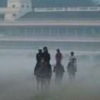 Más jinetes indios pasean entre la niebla.