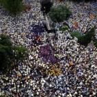 5c8b806e24000093024da52b