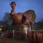 5c8b178f3b000054066cf1ec