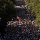 5c8b80712300005400e85bef