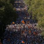 5c8b80713b000070066dbeb3