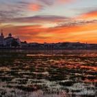 Es uno de los Parques Nacionales más impresionantes de España, en él se unen flora y fauna haciendo de Doñana un paraíso natural. Viajeros de todo el mundo asisten cada año al Coto para disfrutar de las increíbles puestas de sol que se pu...