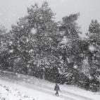 5c8b198c2300002f00e790b2