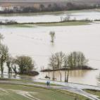 5c8b198d240000f404a41493