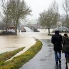 5c8b198d2300003000e790b8