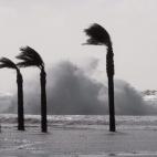 5c8b198f20000043047022b0