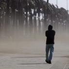 5c8b198f20000043047022b2