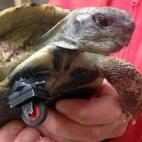 5c8b69e222000033001ad84b