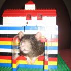 5c8b69e42400006c05a4a749