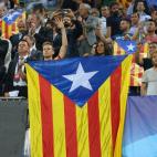 5c8a43df2500000d04c8cfcc