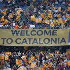 5c8a43df36000006186b3efd