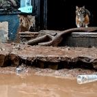 El suelo de algunas calles de Bad Muenstereifel es ahora tierra y barro
