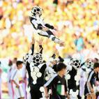 5c8af4842000004304700255