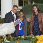 5c8a99c52500001304c94031