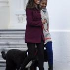 5c8a99c83b000037066c2e86