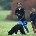 5c8a99ca230000dd04234f9c