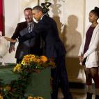 5c8a99d93b000037066c2eaf