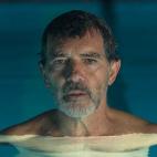 Dolor y gloria, 2019