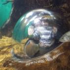 Irse de vacaciones familiares como los demás.