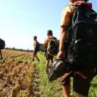 Esta foto, hecha el 31 de mayo de 2013, muestra al estudiante indonesio de ocho años, Wahyu (segundo de la derecha), y sus amigos atravesando un campo de arroz para llegar al colegio en la ciudad de Malang, al este de la isla de Java.