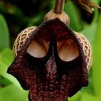 5c8b19332500001304ca0845