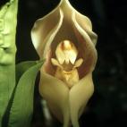 5c8b193420000043047021f8