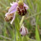 5c8b19352300003000e79018